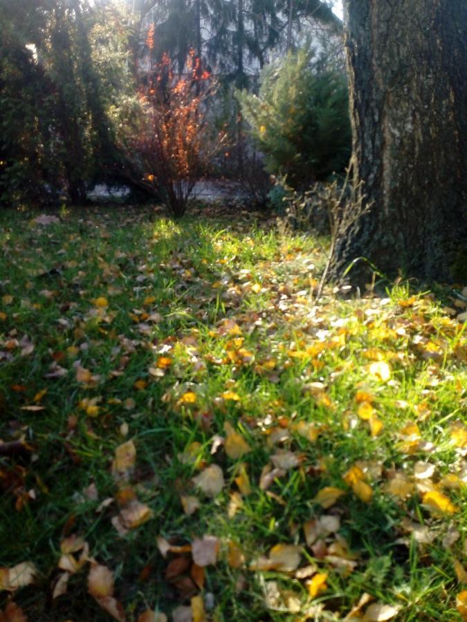 Roztoczanski Dworek Zamość المظهر الخارجي الصورة